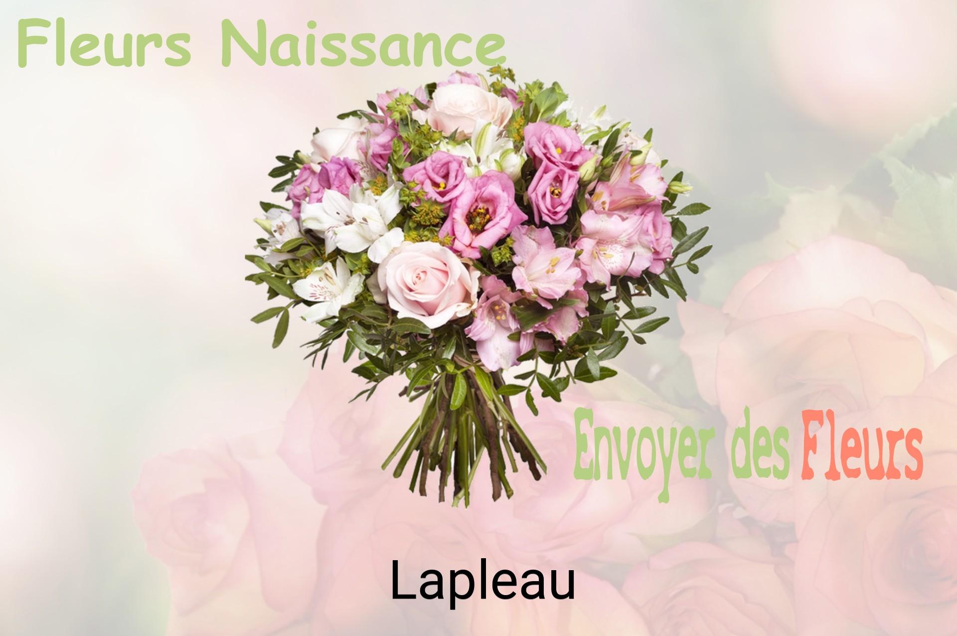 Bouquet de fleurs de naissance livré à Lapleau
