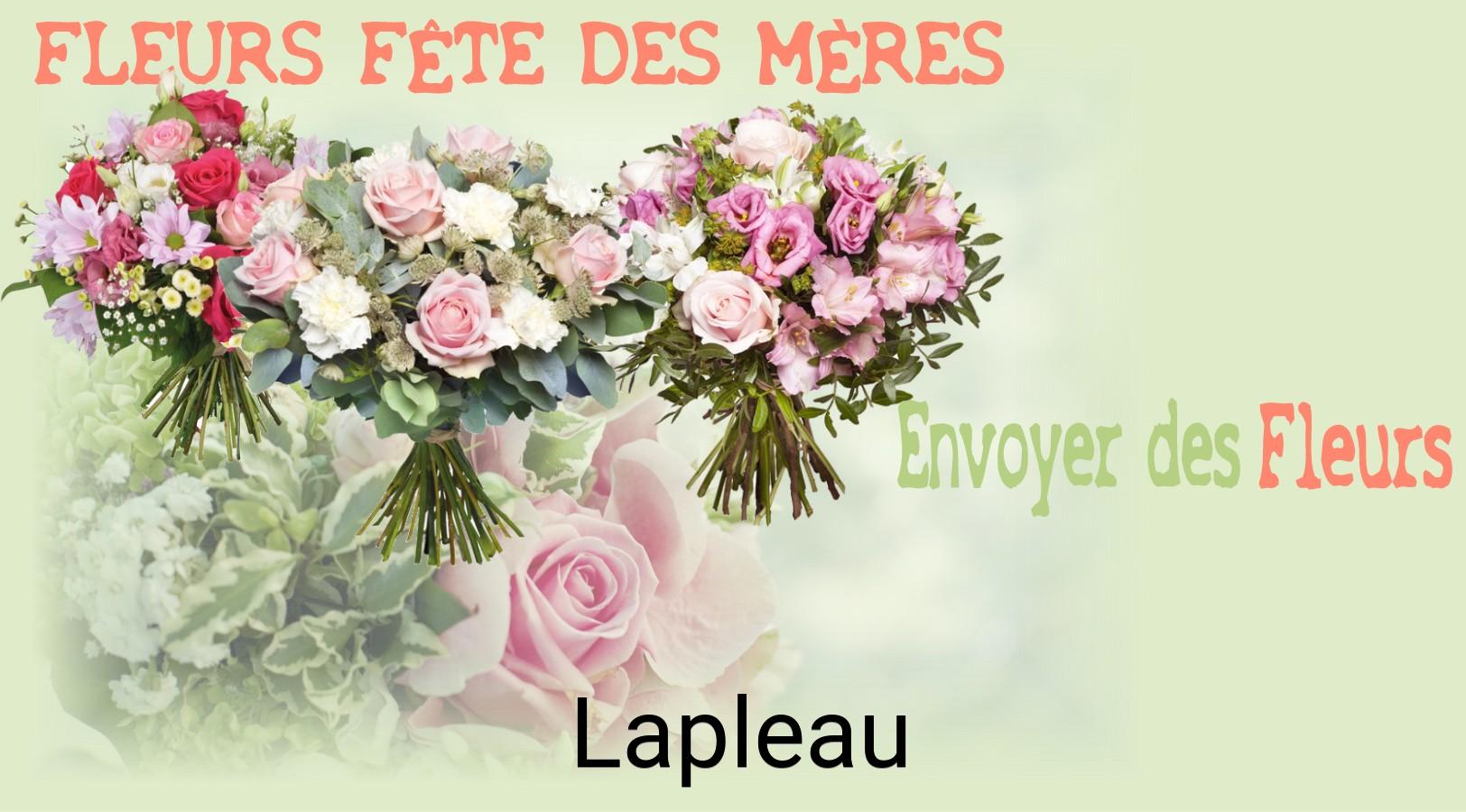 Bouquet de Fête des Mères livré à Lapleau